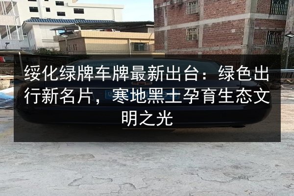 绥化绿牌车牌最新出台：绿色出行新名片，寒地黑土孕育生态文明之光 第2张