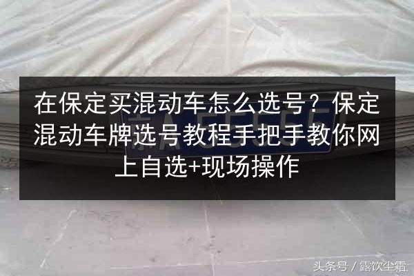 在保定买混动车怎么选号？保定混动车牌选号教程手把手教你网上自选+现场操作