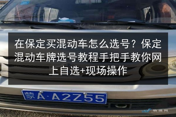 在保定买混动车怎么选号?保定混动车牌选号教程手把手教你网上自选+现场操作 第2张 在保定买混动车怎么选号?保定混动车牌选号教程手把手教你网上自选+现场操作 第2张