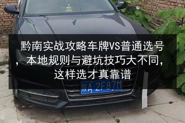 黔南实战攻略车牌VS普通选号,本地规则与避坑技巧大不同,这样选才真靠谱 第3张 黔南实战攻略车牌VS普通选号,本地规则与避坑技巧大不同,这样选才真靠谱 第3张