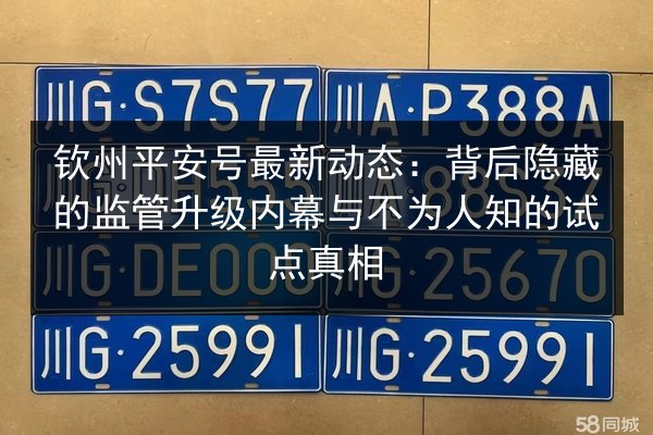钦州平安号最新动态：背后隐藏的监管升级内幕与不为人知的试点真相