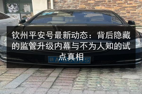钦州平安号最新动态：背后隐藏的监管升级内幕与不为人知的试点真相 第2张