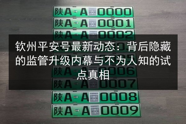 钦州平安号最新动态：背后隐藏的监管升级内幕与不为人知的试点真相 第3张