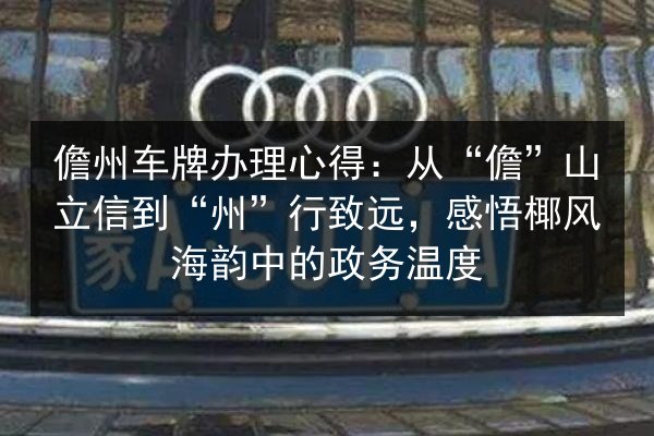儋州车牌办理心得：从“儋”山立信到“州”行致远，感悟椰风海韵中的政务温度