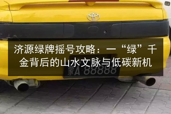 济源绿牌摇号攻略：一“绿”千金背后的山水文脉与低碳新机 第2张