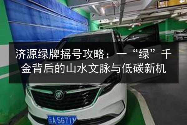 济源绿牌摇号攻略：一“绿”千金背后的山水文脉与低碳新机 第3张