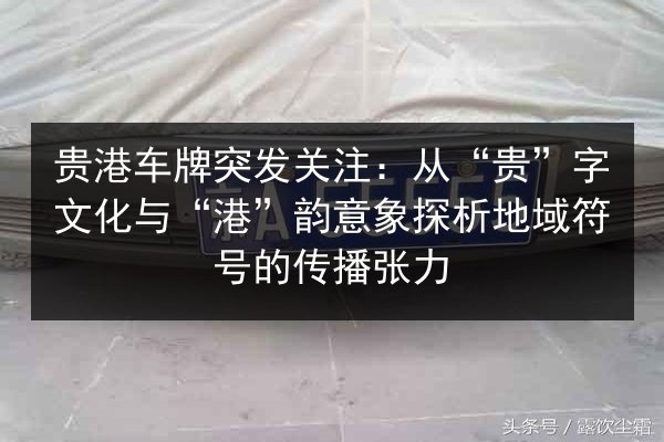 贵港车牌突发关注：从“贵”字文化与“港”韵意象探析地域符号的传播张力 第3张