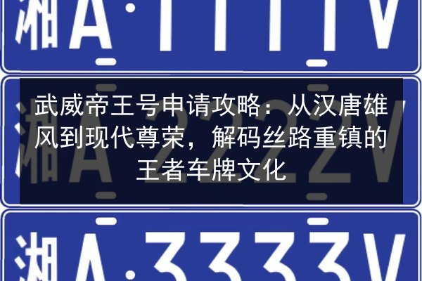 武威帝王号申请攻略:从汉唐雄风到现代尊荣,解码丝路重镇的王者车牌文化 第2张 武威帝王号申请攻略:从汉唐雄风到现代尊荣,解码丝路重镇的王者车牌文化 第2张