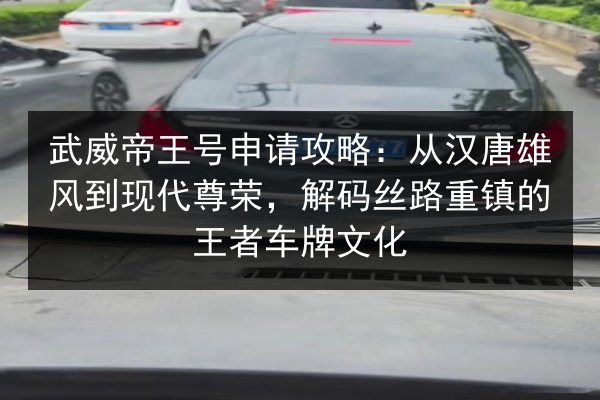 武威帝王号申请攻略:从汉唐雄风到现代尊荣,解码丝路重镇的王者车牌文化 第3张 武威帝王号申请攻略:从汉唐雄风到现代尊荣,解码丝路重镇的王者车牌文化 第3张