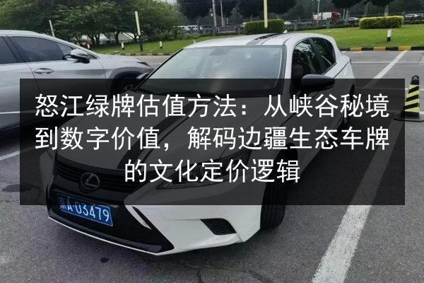 怒江绿牌估值方法：从峡谷秘境到数字价值，解码边疆生态车牌的文化定价逻辑