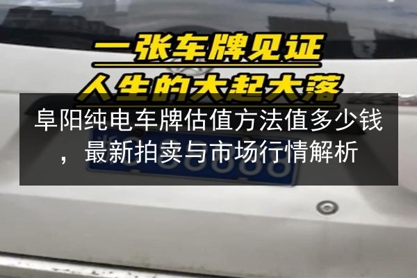 阜阳纯电车牌估值方法值多少钱,最新拍卖与市场行情解析 第3张 阜阳纯电车牌估值方法值多少钱,最新拍卖与市场行情解析 第3张