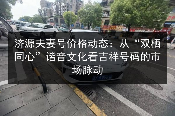 济源夫妻号价格动态：从“双栖同心”谐音文化看吉祥号码的市场脉动