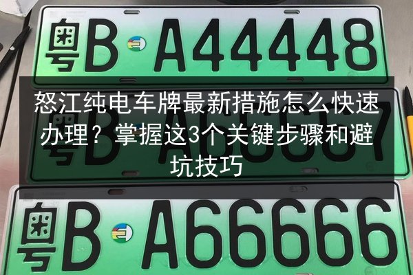 怒江纯电车牌最新措施怎么快速办理？掌握这3个关键步骤和避坑技巧 第2张