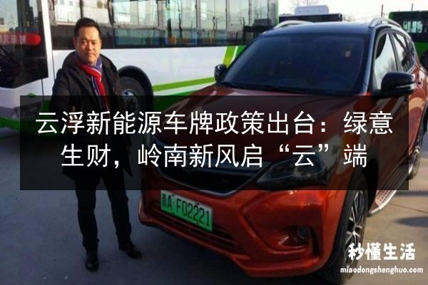 云浮新能源车牌政策出台：绿意生财，岭南新风启“云”端 第3张