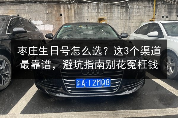 枣庄生日号怎么选?这3个渠道最靠谱,避坑指南别花冤枉钱 第3张 枣庄生日号怎么选?这3个渠道最靠谱,避坑指南别花冤枉钱 第3张