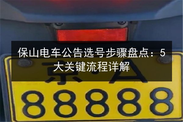 保山电车公告选号步骤盘点：5大关键流程详解