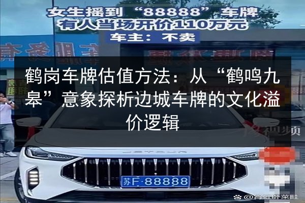 鹤岗车牌估值方法:从“鹤鸣九皋”意象探析边城车牌的文化溢价逻辑 第2张 鹤岗车牌估值方法:从“鹤鸣九皋”意象探析边城车牌的文化溢价逻辑 第2张