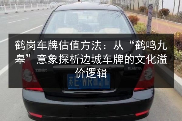 鹤岗车牌估值方法:从“鹤鸣九皋”意象探析边城车牌的文化溢价逻辑 第3张 鹤岗车牌估值方法:从“鹤鸣九皋”意象探析边城车牌的文化溢价逻辑 第3张