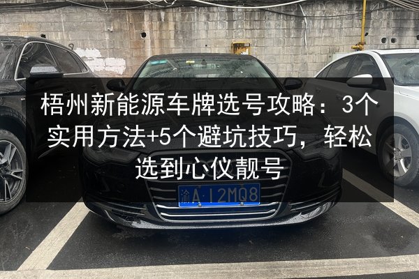 梧州新能源车牌选号攻略:3个实用方法+5个避坑技巧,轻松选到心仪靓号 第3张 梧州新能源车牌选号攻略:3个实用方法+5个避坑技巧,轻松选到心仪靓号 第3张