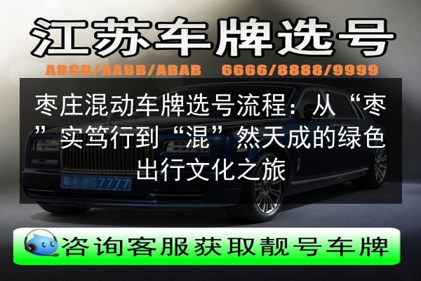 枣庄混动车牌选号流程：从“枣”实笃行到“混”然天成的绿色出行文化之旅 第3张