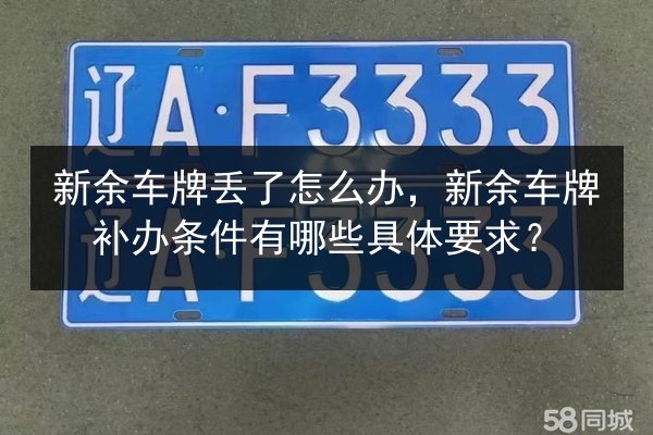 新余车牌丢了怎么办,新余车牌补办条件有哪些具体要求? 第3张 新余车牌丢了怎么办,新余车牌补办条件有哪些具体要求? 第3张