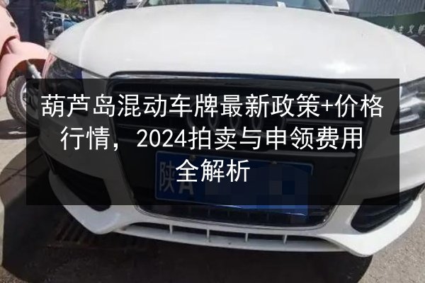 葫芦岛混动车牌最新政策+价格行情，2024拍卖与申领费用全解析