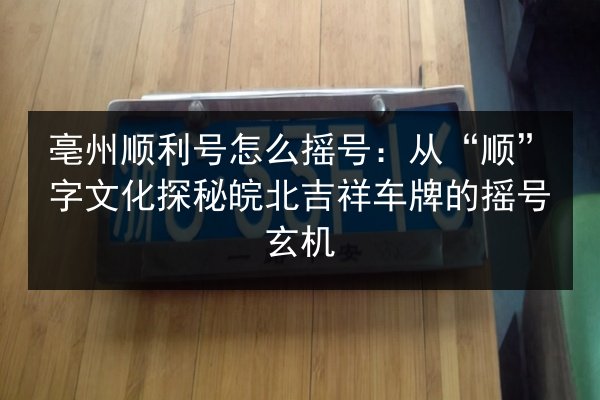 亳州顺利号怎么摇号：从“顺”字文化探秘皖北吉祥车牌的摇号玄机