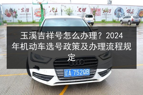 玉溪吉祥号怎么办理？2024年机动车选号政策及办理流程规定 第2张