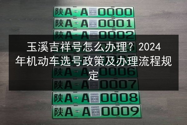 玉溪吉祥号怎么办理？2024年机动车选号政策及办理流程规定 第3张