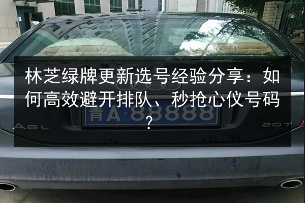 林芝绿牌更新选号经验分享：如何高效避开排队、秒抢心仪号码？