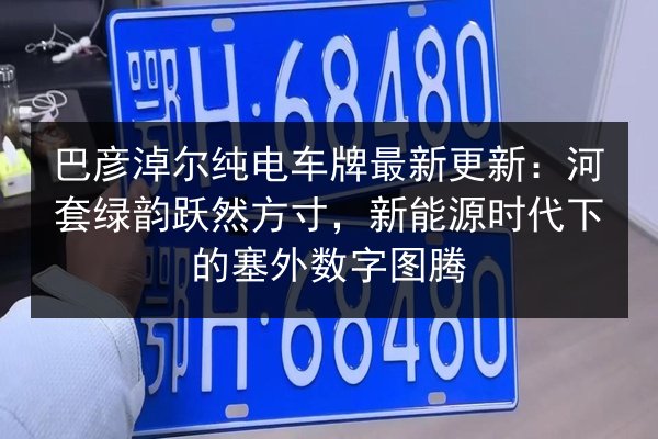 巴彦淖尔纯电车牌最新更新：河套绿韵跃然方寸，新能源时代下的塞外数字图腾