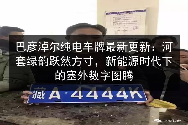巴彦淖尔纯电车牌最新更新:河套绿韵跃然方寸,新能源时代下的塞外数字图腾 第3张 巴彦淖尔纯电车牌最新更新:河套绿韵跃然方寸,新能源时代下的塞外数字图腾 第3张