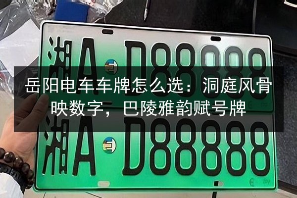 岳阳电车车牌怎么选:洞庭风骨映数字,巴陵雅韵赋号牌 第2张 岳阳电车车牌怎么选:洞庭风骨映数字,巴陵雅韵赋号牌 第2张