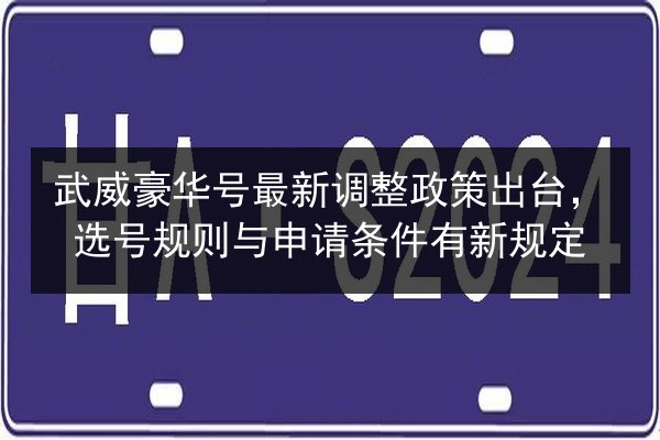 武威豪华号最新调整政策出台，选号规则与申请条件有新规定 第2张