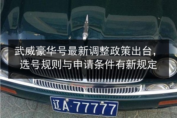 武威豪华号最新调整政策出台，选号规则与申请条件有新规定 第3张
