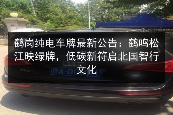 鹤岗纯电车牌最新公告：鹤鸣松江映绿牌，低碳新符启北国智行文化