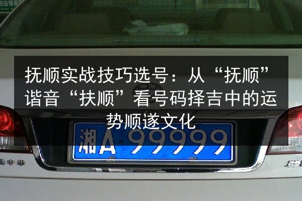 抚顺实战技巧选号：从“抚顺”谐音“扶顺”看号码择吉中的运势顺遂文化