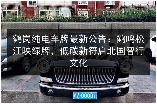 鹤岗纯电车牌最新公告：鹤鸣松江映绿牌，低碳新符启北国智行文化 第2张