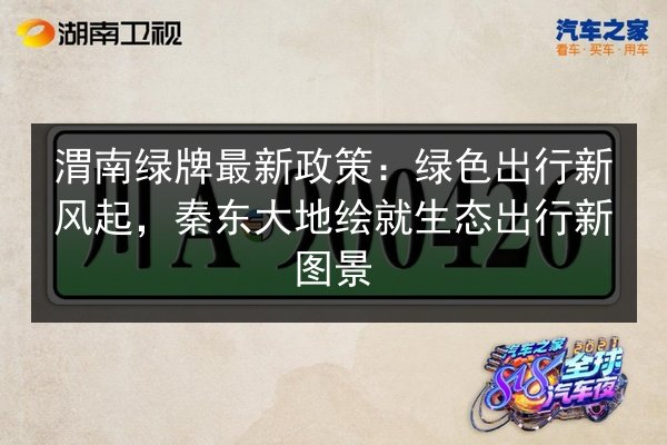渭南绿牌最新政策：绿色出行新风起，秦东大地绘就生态出行新图景 第3张