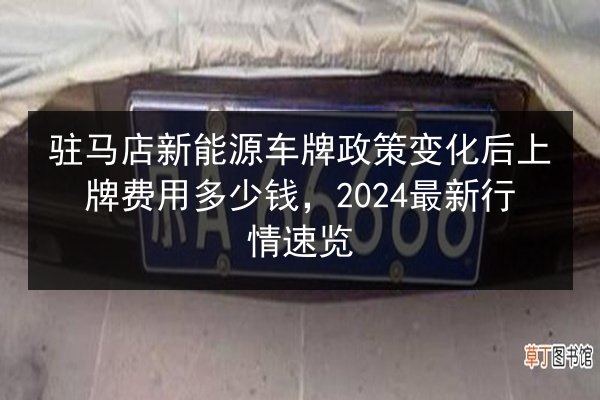 驻马店新能源车牌政策变化后上牌费用多少钱，2024最新行情速览 第2张