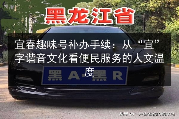 宜春趣味号补办手续:从“宜”字谐音文化看便民服务的人文温度 第3张 宜春趣味号补办手续:从“宜”字谐音文化看便民服务的人文温度 第3张