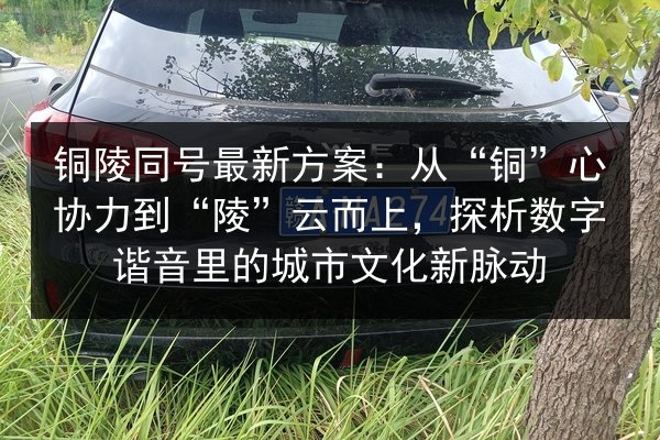 铜陵同号最新方案：从“铜”心协力到“陵”云而上，探析数字谐音里的城市文化新脉动 第3张