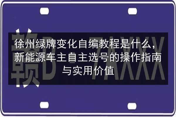 徐州绿牌变化自编教程是什么，新能源车主自主选号的操作指南与实用价值 第2张