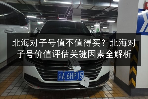 北海对子号值不值得买?北海对子号价值评估关键因素全解析 第3张 北海对子号值不值得买?北海对子号价值评估关键因素全解析 第3张