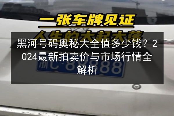 黑河号码奥秘大全值多少钱?2024最新拍卖价与市场行情全解析 第2张 黑河号码奥秘大全值多少钱?2024最新拍卖价与市场行情全解析 第2张