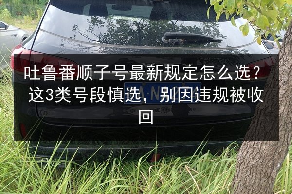 吐鲁番顺子号最新规定怎么选?这3类号段慎选,别因违规被收回 第3张 吐鲁番顺子号最新规定怎么选?这3类号段慎选,别因违规被收回 第3张