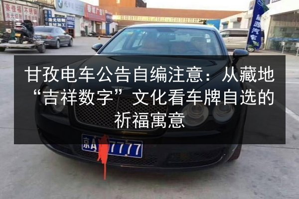 甘孜电车公告自编注意:从藏地“吉祥数字”文化看车牌自选的祈福寓意 第2张 甘孜电车公告自编注意:从藏地“吉祥数字”文化看车牌自选的祈福寓意 第2张