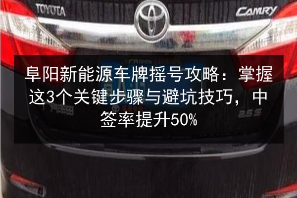 阜阳新能源车牌摇号攻略：掌握这3个关键步骤与避坑技巧，中签率提升50% 第2张