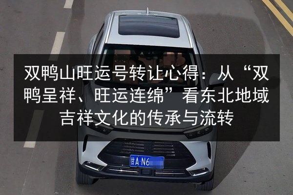 双鸭山旺运号转让心得：从“双鸭呈祥、旺运连绵”看东北地域吉祥文化的传承与流转