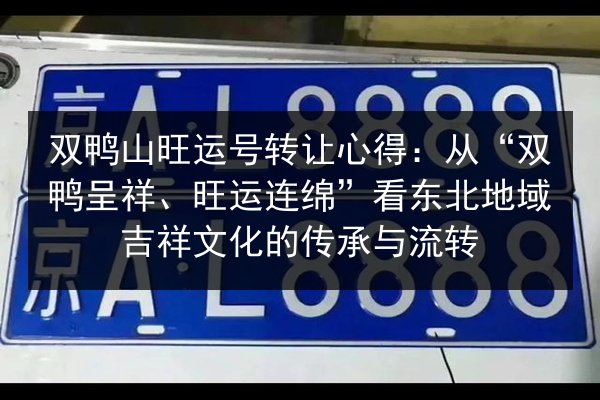 双鸭山旺运号转让心得：从“双鸭呈祥、旺运连绵”看东北地域吉祥文化的传承与流转 第2张